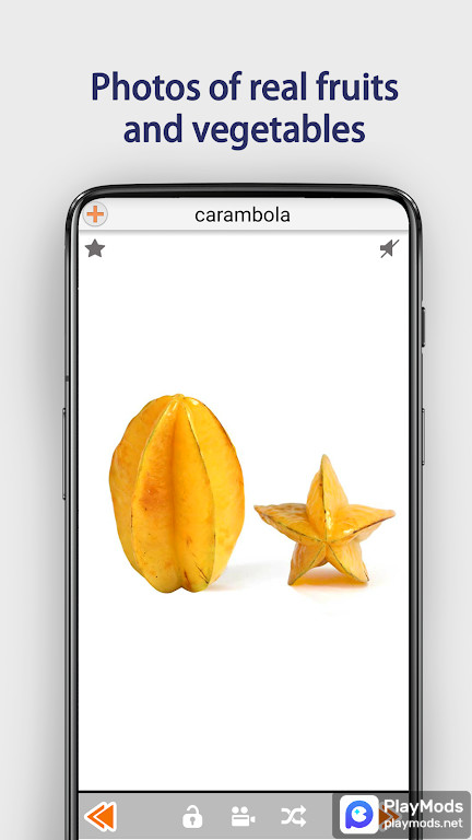 Fruits and Vegetables screenshot image 1_Popularmodapk.com