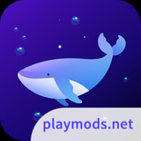 Dolphin VPN Fast  Stable1.0.0_Popularmodapk.com