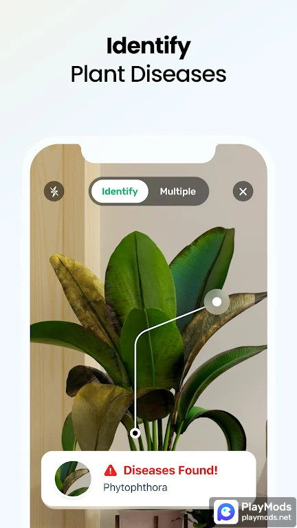 PlantApp  Plant Identifier screenshot image 3_Popularmodapk.com
