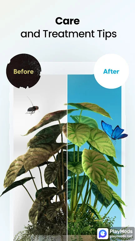 PlantApp  Plant Identifier screenshot image 2_Popularmodapk.com