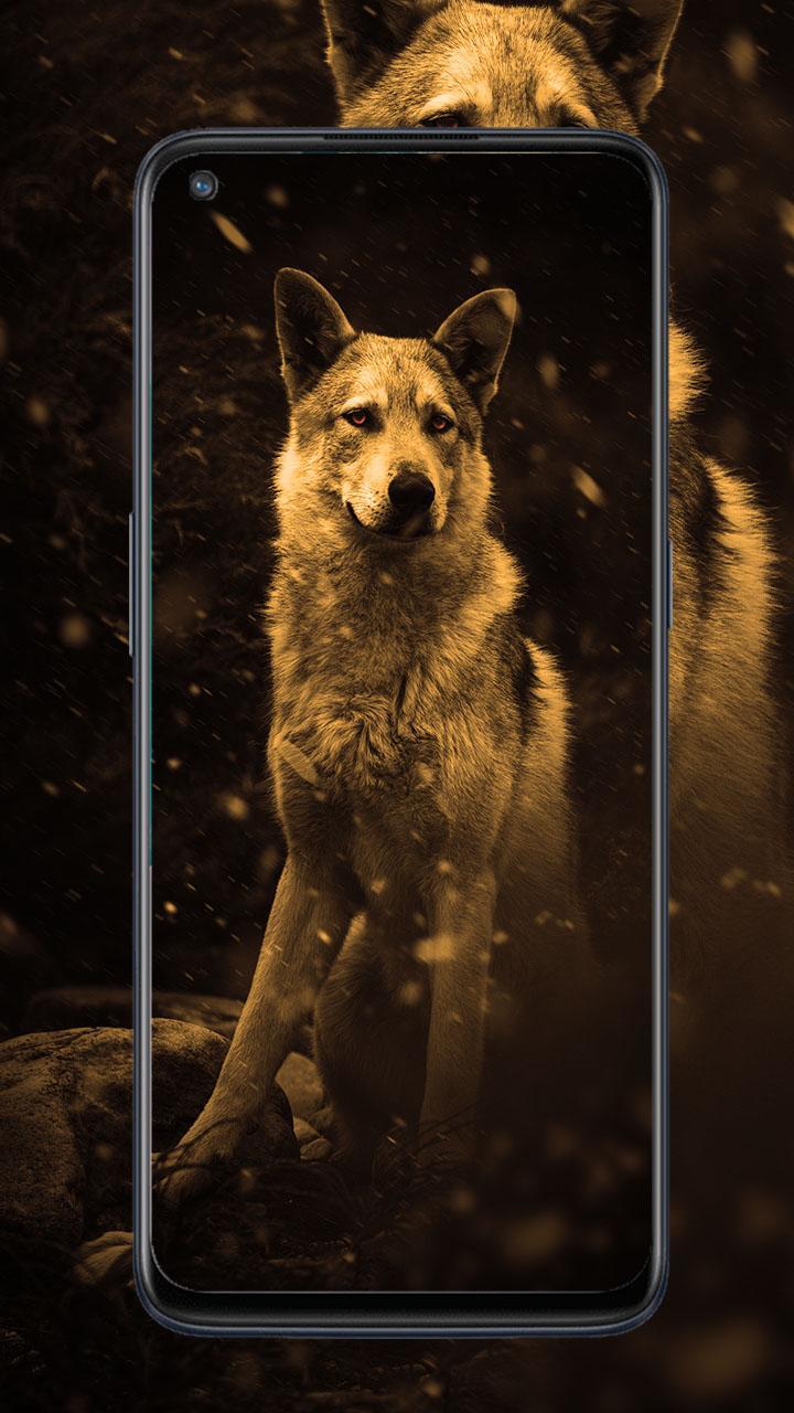 OnePlus nord n10 5G screenshot image 7_Popularmodapk.com