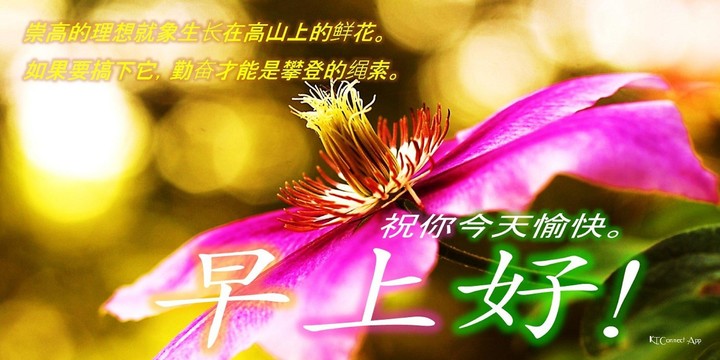 早上好，下午好，晚安 screenshot image 1_Popularmodapk.com