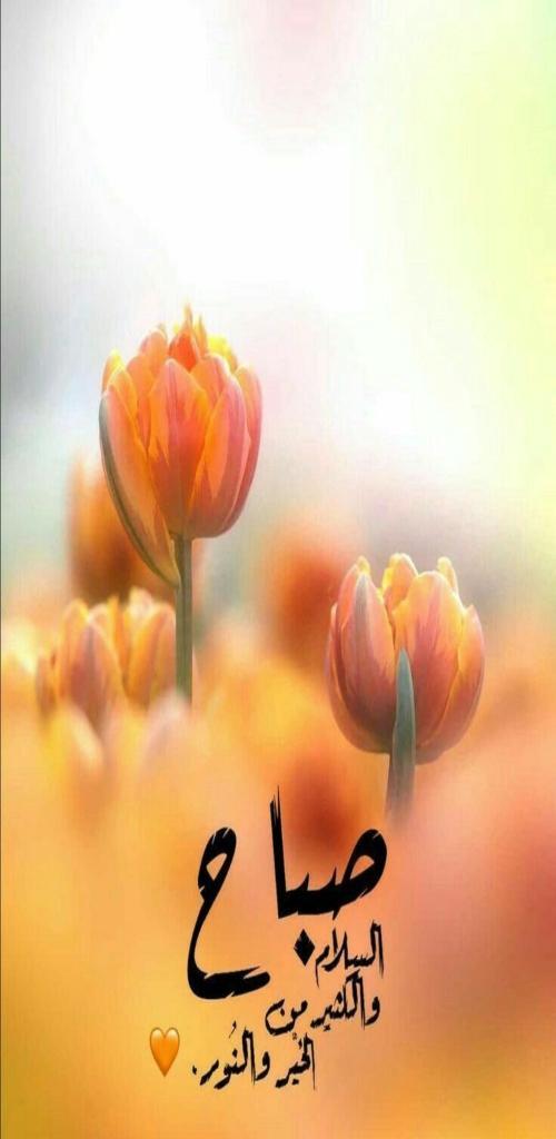 صور صباحيات ومسائيات الخير screenshot image 10_Popularmodapk.com