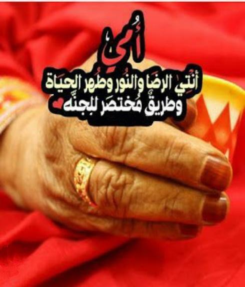 News 9 Weather screenshot image 2_Popularmodapk.com