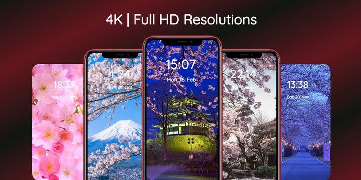 Sakura Wallpaper screenshot image 7_Popularmodapk.com