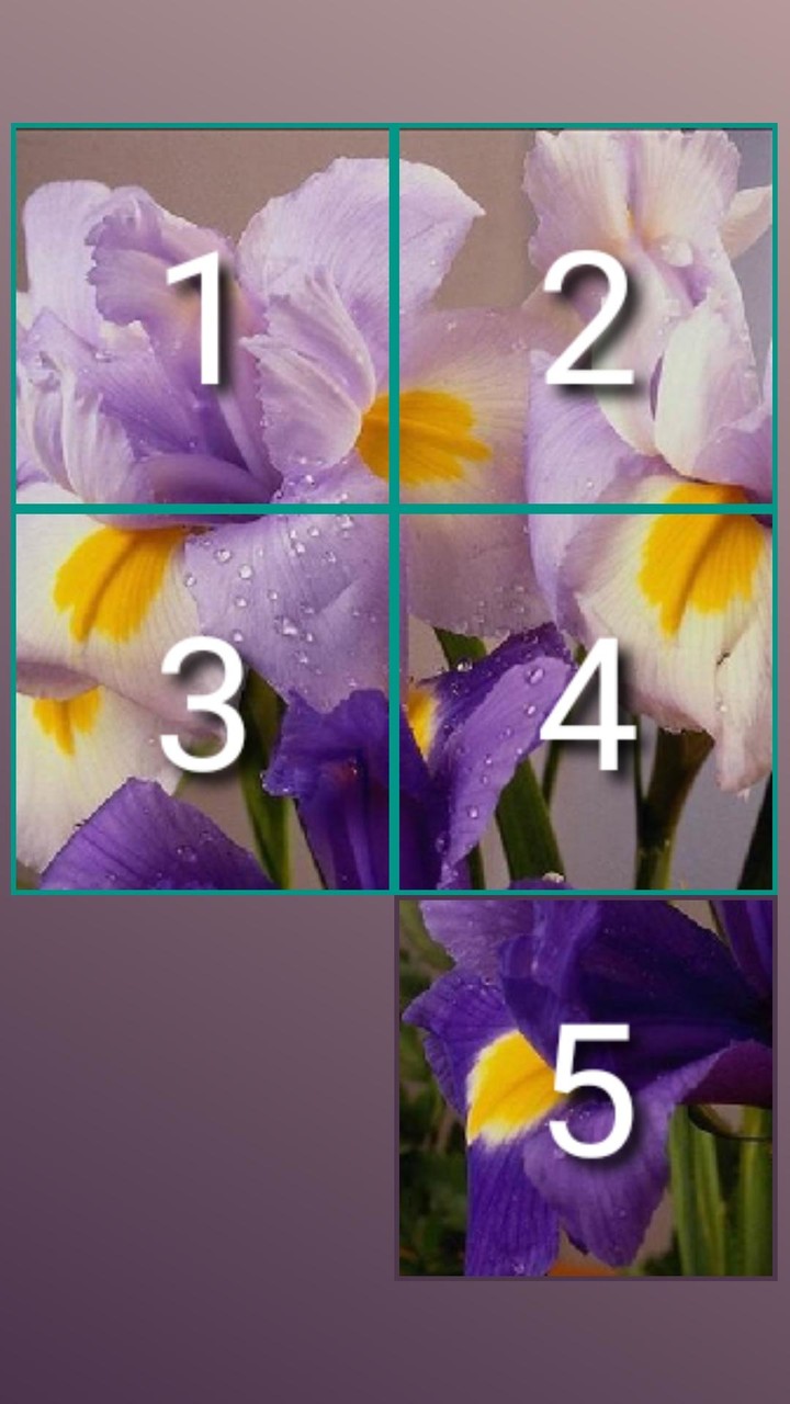 Ball Stacking screenshot image 4_Popularmodapk.com