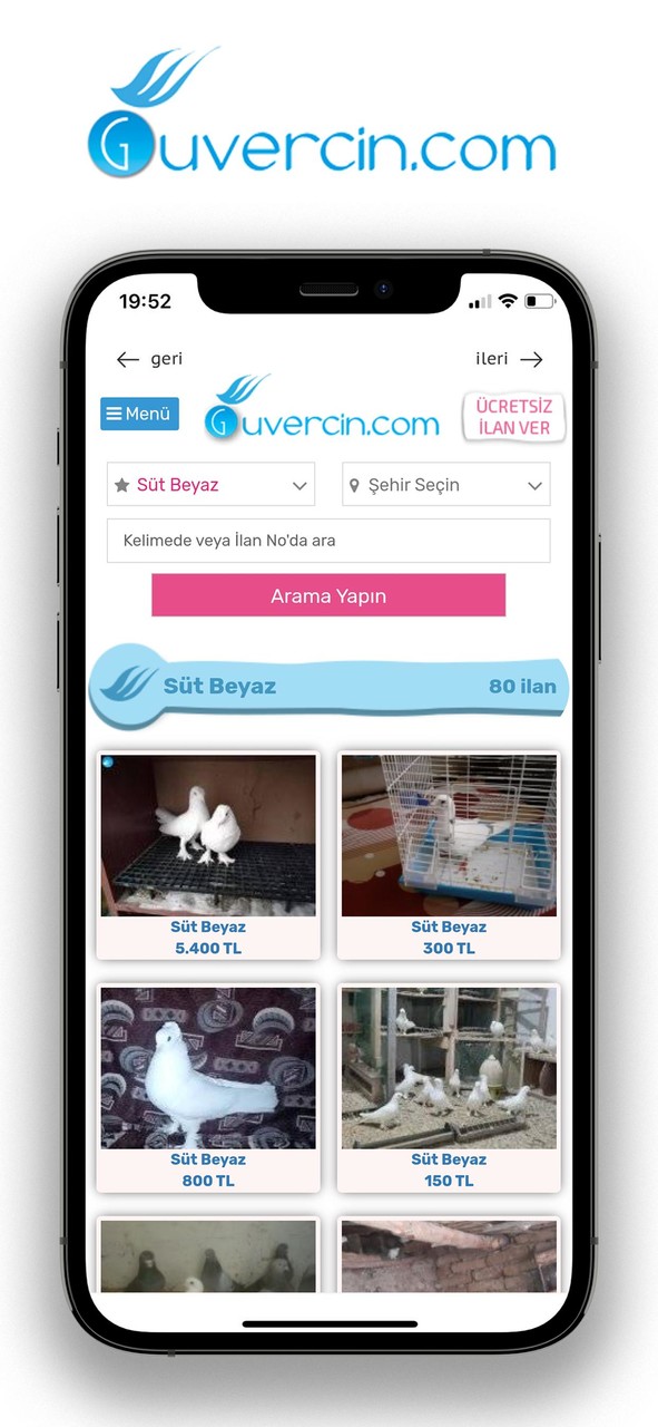 GUVERCiN.COM Güvercin İlanları screenshot image 3_Popularmodapk.com