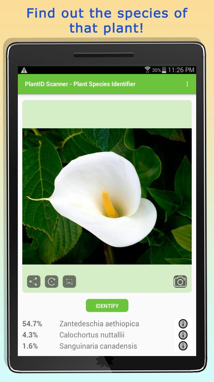 PlantID - Identify Plants screenshot image 6_Popularmodapk.com