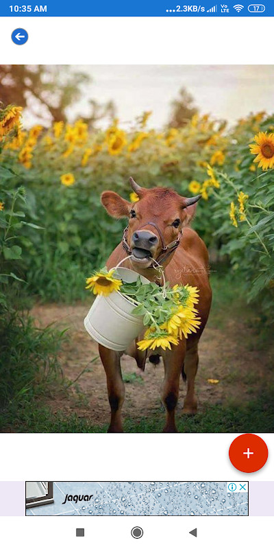 Farming Wallpaper: HD images, Free Pics download screenshot image 4_Popularmodapk.com