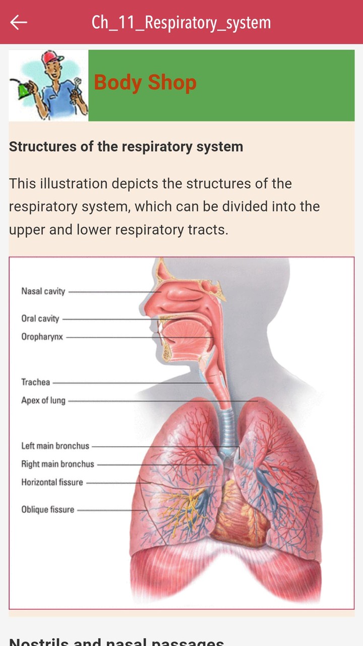 Anatomy & Physiology MIE NCLEX screenshot image 7_Popularmodapk.com