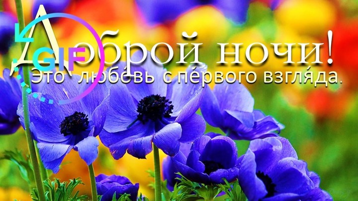 Доброе утро желает гифка screenshot image 7_Popularmodapk.com