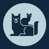 InfoCura4.11.904260758_Popularmodapk.com