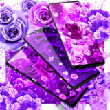 Purple rose live wallpaper22.6_Popularmodapk.com