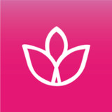 SPA Latino0.0.45_Popularmodapk.com