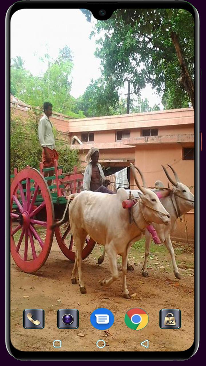 Medical Logo Maker screenshot image 21_Popularmodapk.com