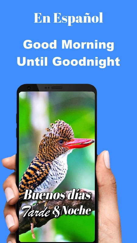 Spanish Good Morning to Night screenshot image 32_Popularmodapk.com