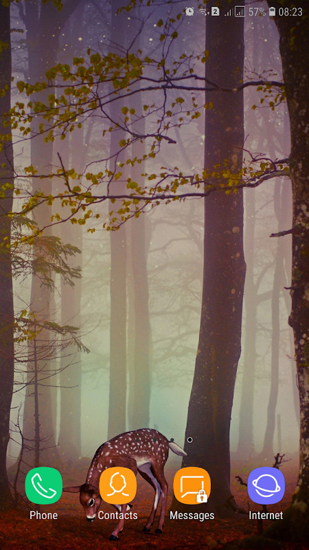 Forest Wallpaper screenshot image 34_Popularmodapk.com
