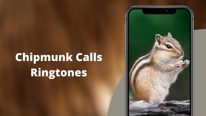 Chipmunk Sounds screenshot image 6_Popularmodapk.com