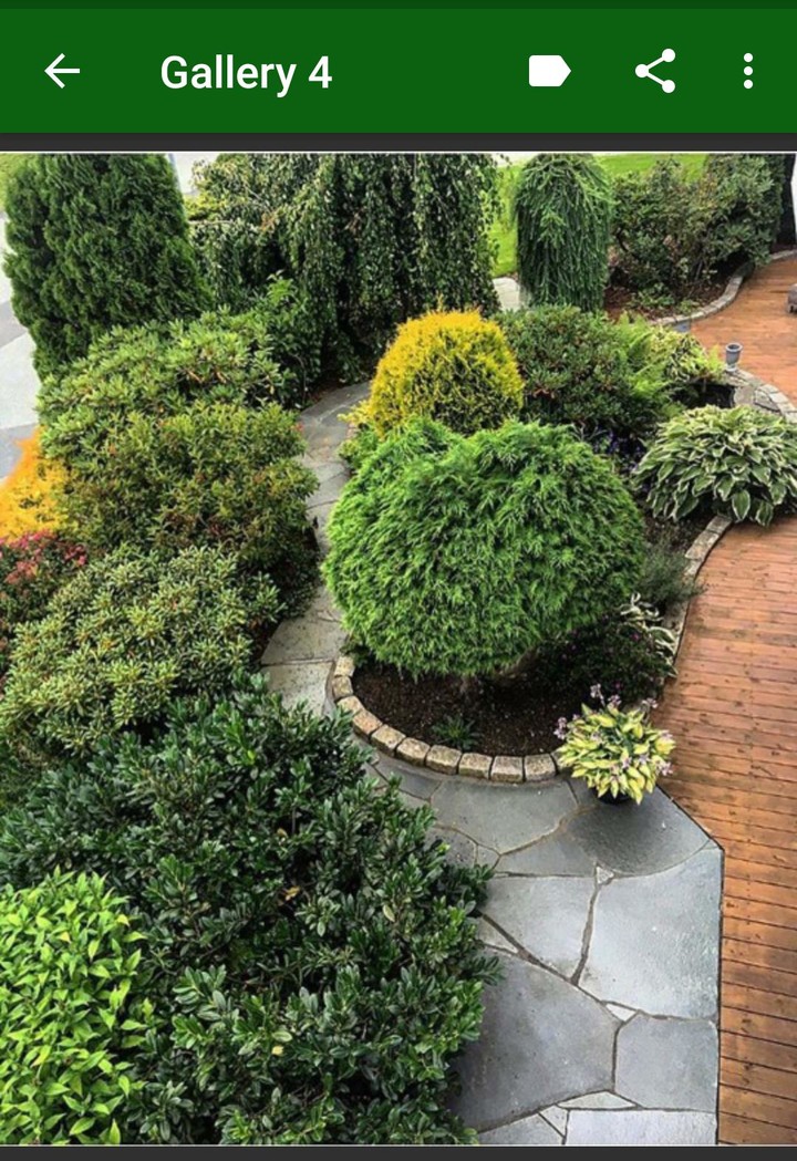 Garden Plants screenshot image 14_Popularmodapk.com