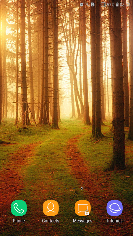 Forest Wallpaper screenshot image 26_Popularmodapk.com