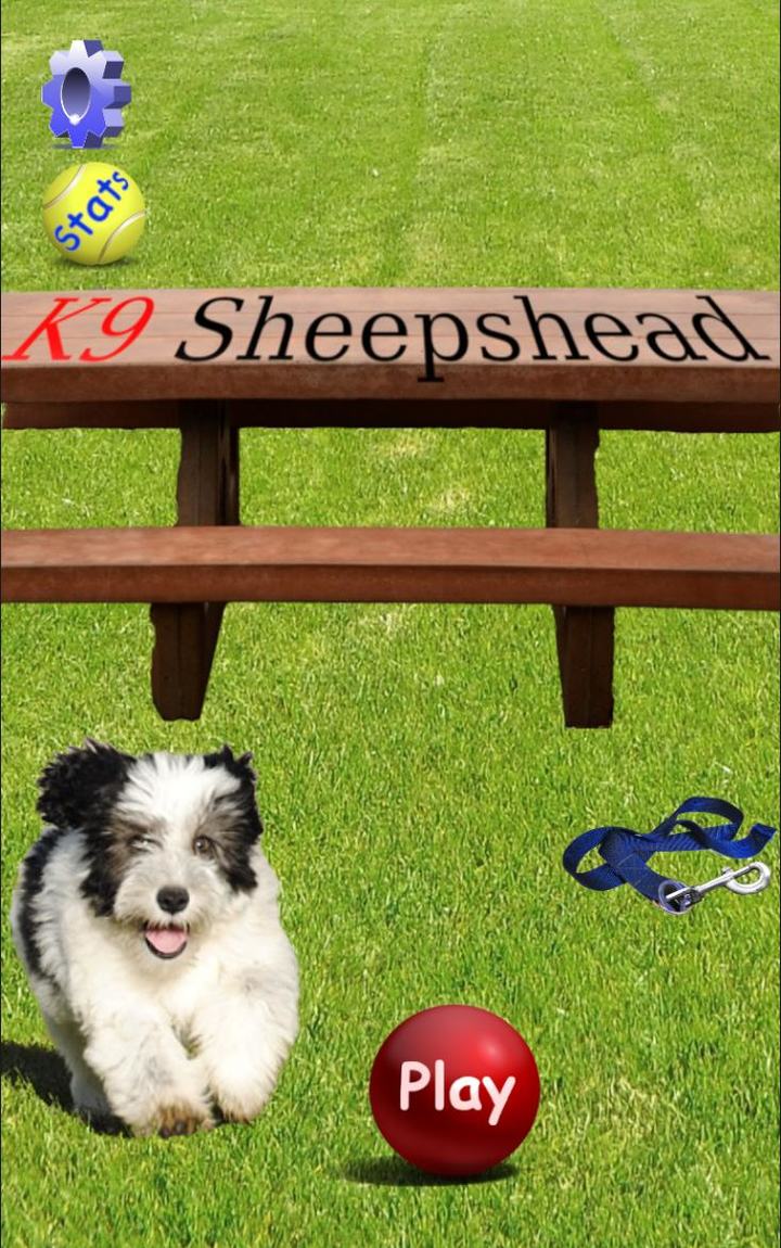 K9 Sheepshead (Schafkopf) screenshot image 1_Popularmodapk.com