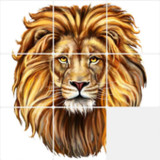 Photo Puzzle App1.0.0_Popularmodapk.com