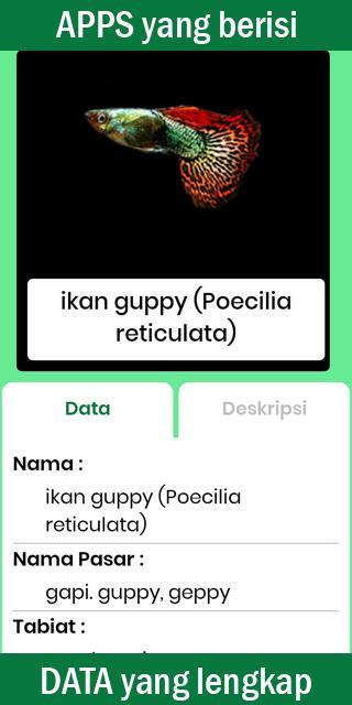 Buku Saku Ikan Hias screenshot image 5_Popularmodapk.com