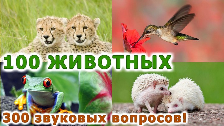 Животные для детей и малышей! screenshot image 1_Popularmodapk.com