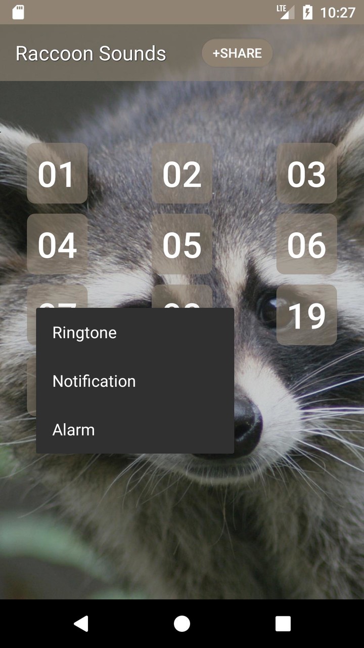 Raccoon Sounds screenshot image 7_Popularmodapk.com