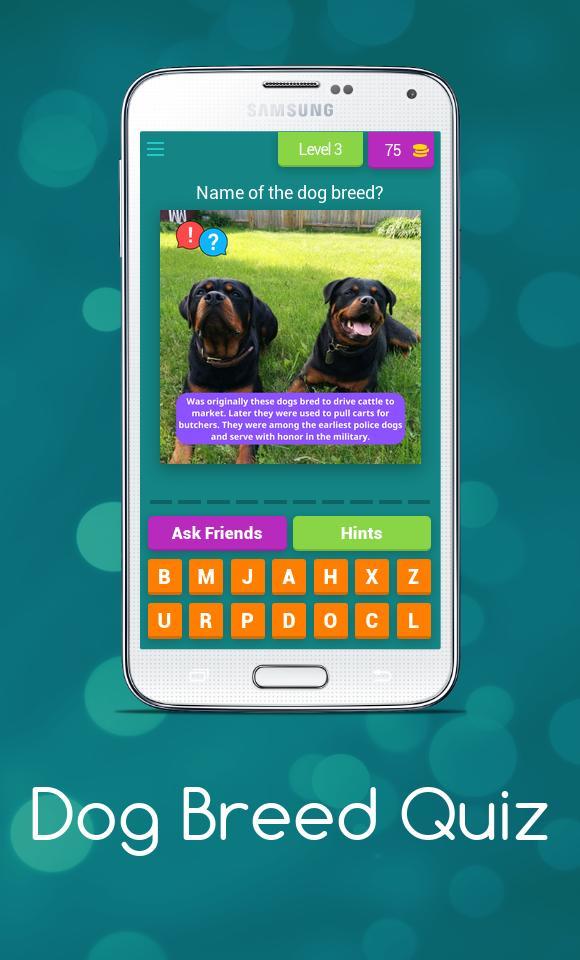 Dog Breed Quiz screenshot image 4_Popularmodapk.com