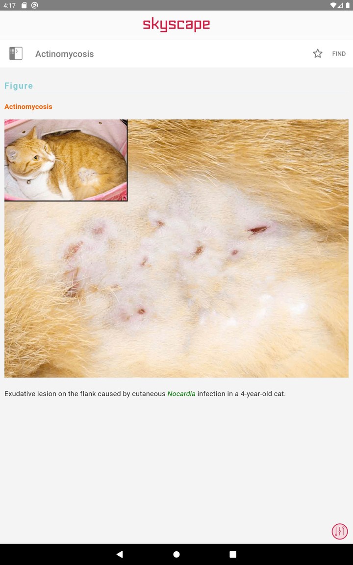 Cote's Clinical Veterinary Adv screenshot image 20_Popularmodapk.com