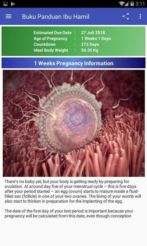 Pregnancy Guide screenshot image 2_Popularmodapk.com