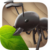Idle Ant War<span>(Unlimited Gems)</span>7.2_Popularmodapk.com