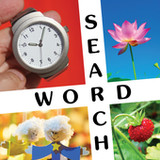 10x10 Word Search1.0.4_Popularmodapk.com