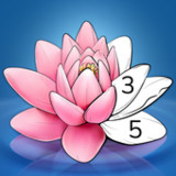 Calm Color - Color By Number1.49.1_Popularmodapk.com