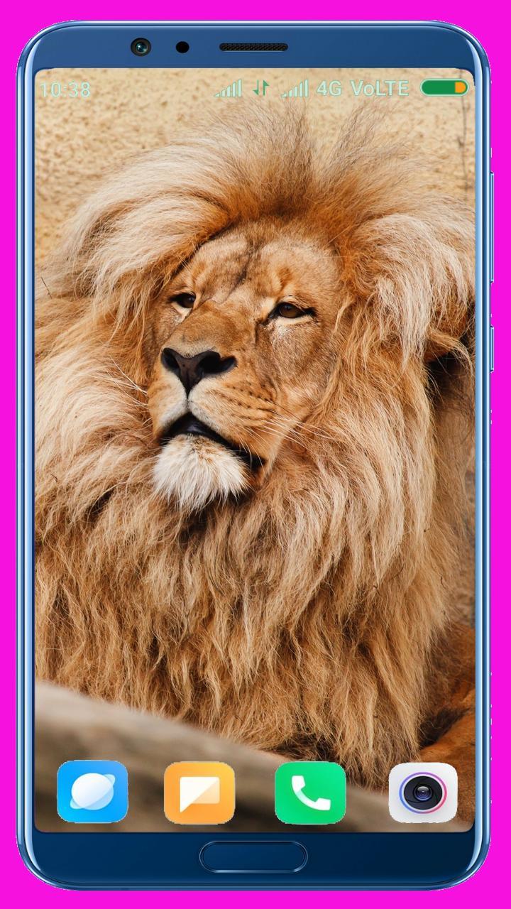 Lion HD Wallpaper screenshot image 40_Popularmodapk.com
