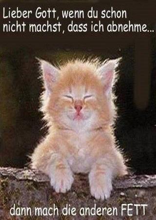 Lustige Bilder für Whatsapp screenshot image 4_Popularmodapk.com