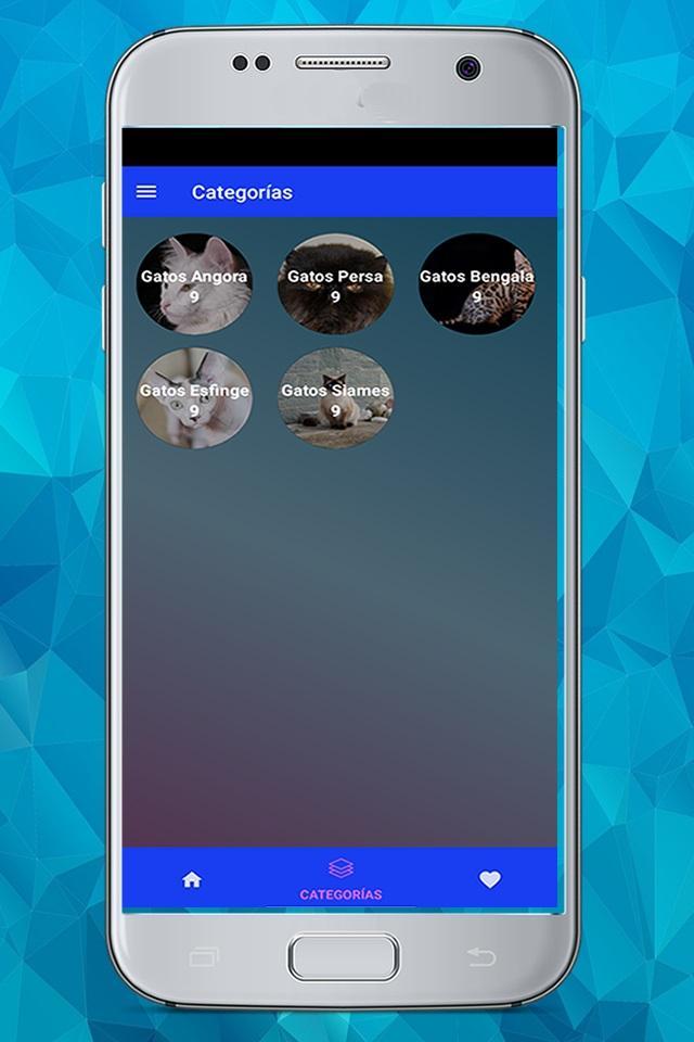 Razas de Gatos screenshot image 2_Popularmodapk.com