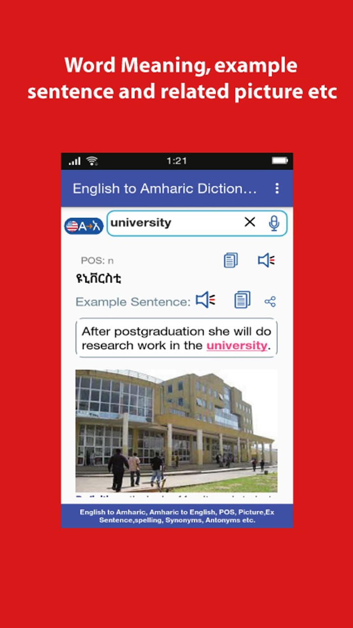 鸽子袭击汉化破解版<span>(mod)</span> screenshot image 5_Popularmodapk.com