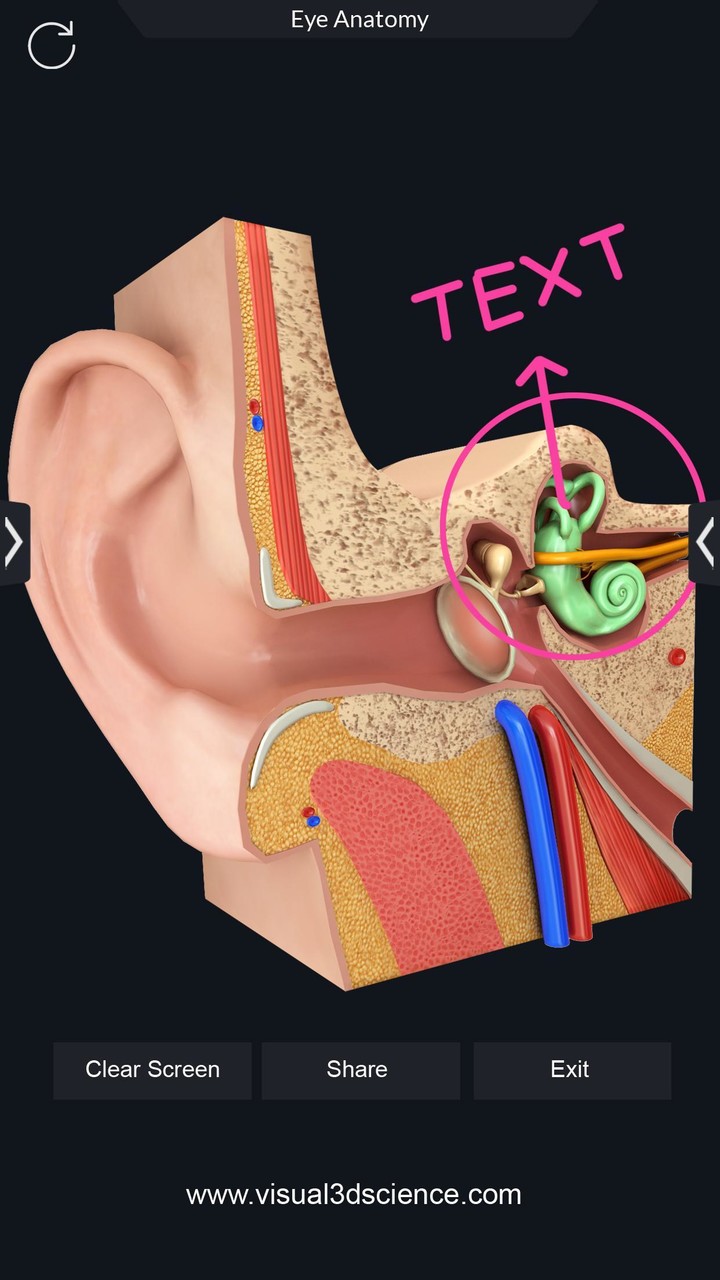 Organs Anatomy Pro. screenshot image 7_Popularmodapk.com