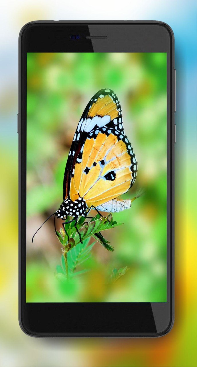 Summer Mood Live Wallpaper screenshot image 2_Popularmodapk.com