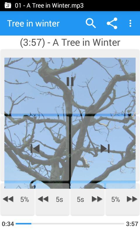 Music Folder Player screenshot image 6_Popularmodapk.com