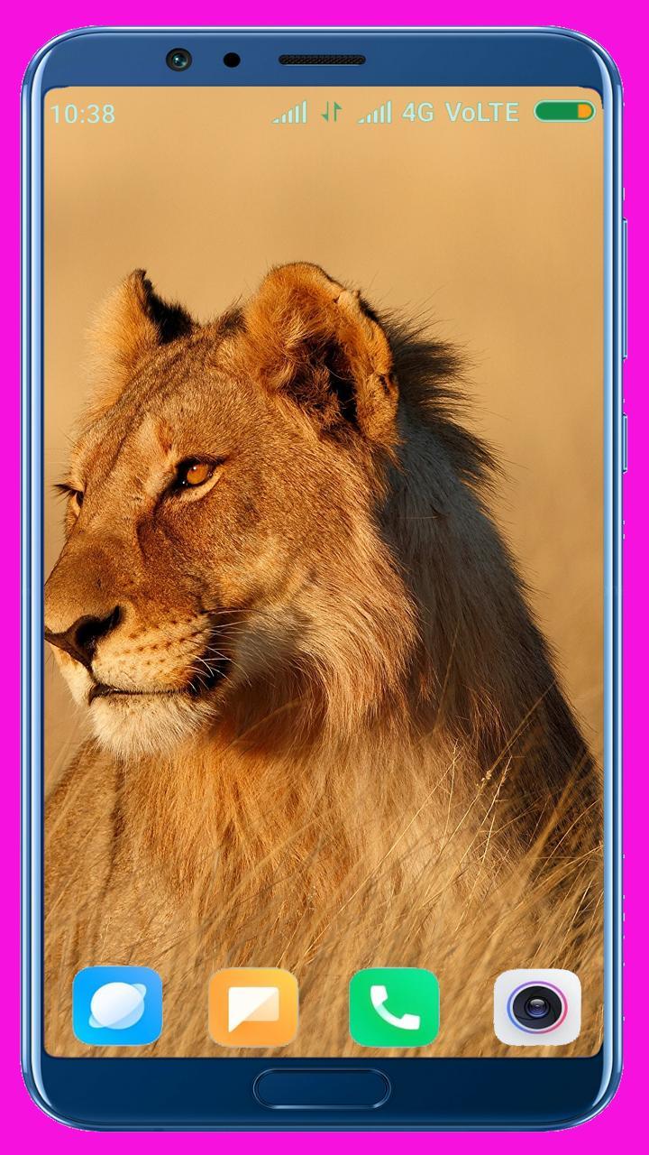 Lion HD Wallpaper screenshot image 32_Popularmodapk.com