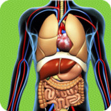 Human Anatomy Pro Trivia2.30314_Popularmodapk.com