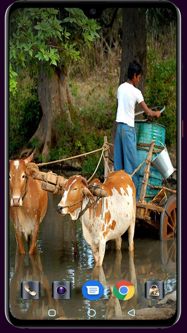 Medical Logo Maker screenshot image 19_Popularmodapk.com