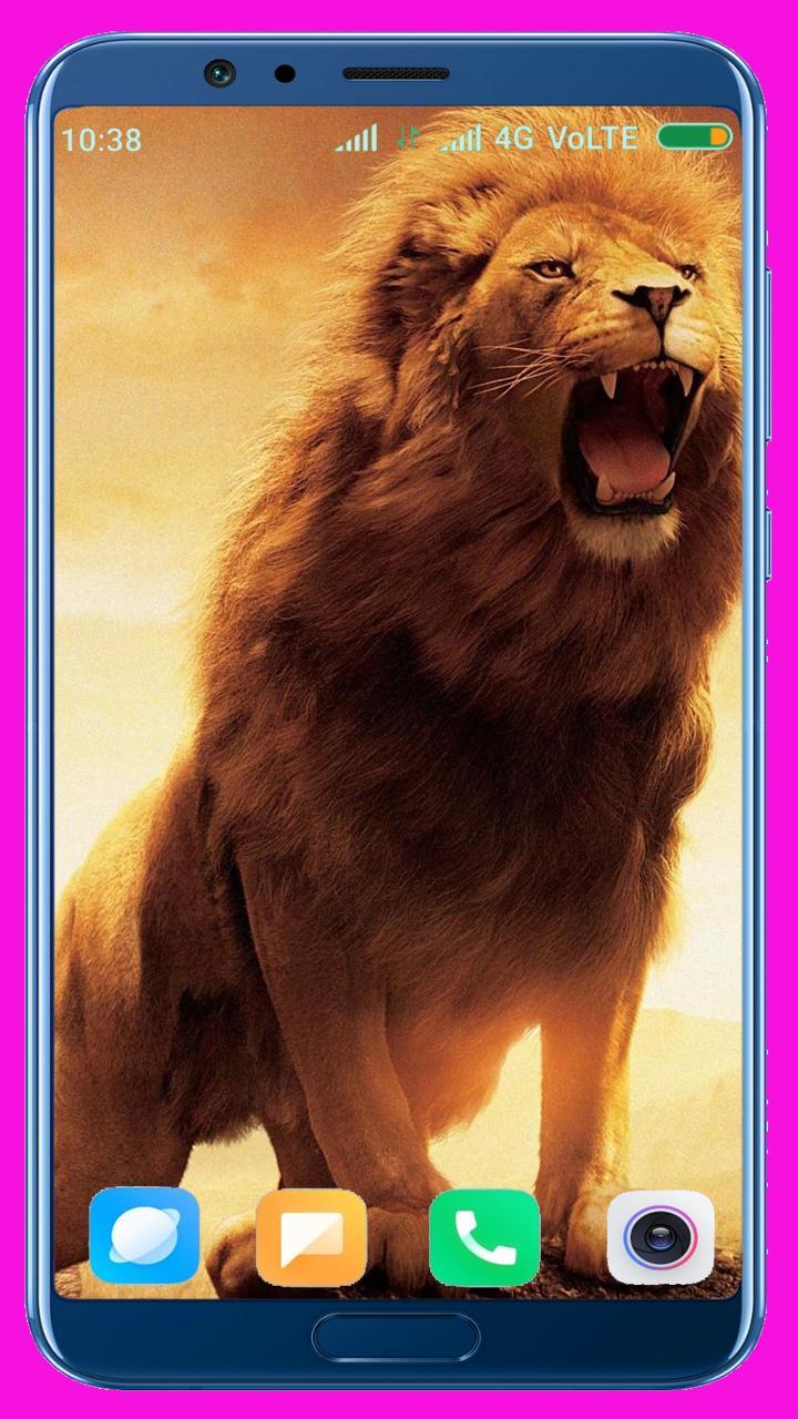 Lion HD Wallpaper screenshot image 35_Popularmodapk.com