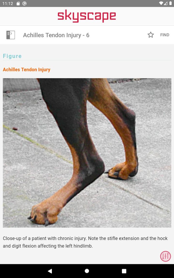 Cote's Clinical Veterinary Adv screenshot image 12_Popularmodapk.com