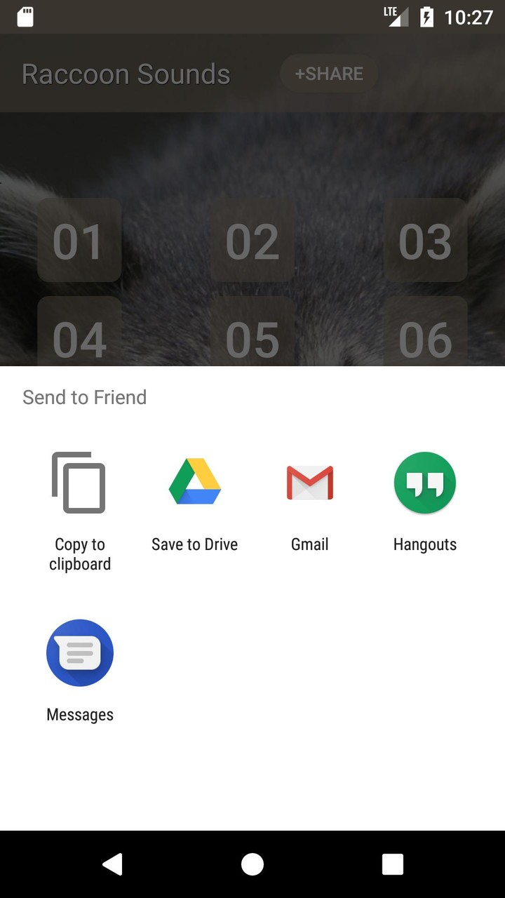 Raccoon Sounds screenshot image 9_Popularmodapk.com