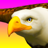 Eagle Ride1.0.7_Popularmodapk.com