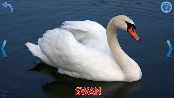 Rise of Elves screenshot image 4_Popularmodapk.com